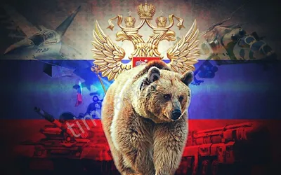 Фото Медведь с российским флагом: Скачать изображение в формате png