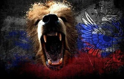 Российский флаг с медведем на фоне: Изображение для использования в качестве обоев