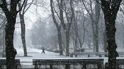 Зима в Ростове-на-дону 2021-2022 года: какой будет температура и когда  пойдёт снег