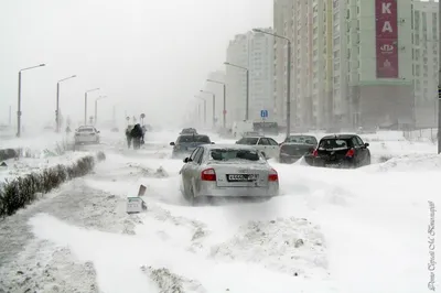 О погодных аномалиях предстоящей зимой в Ростовской области рассказал  метеоролог