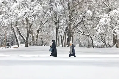 В Ростов-на-Дону пришла зима | Пикабу