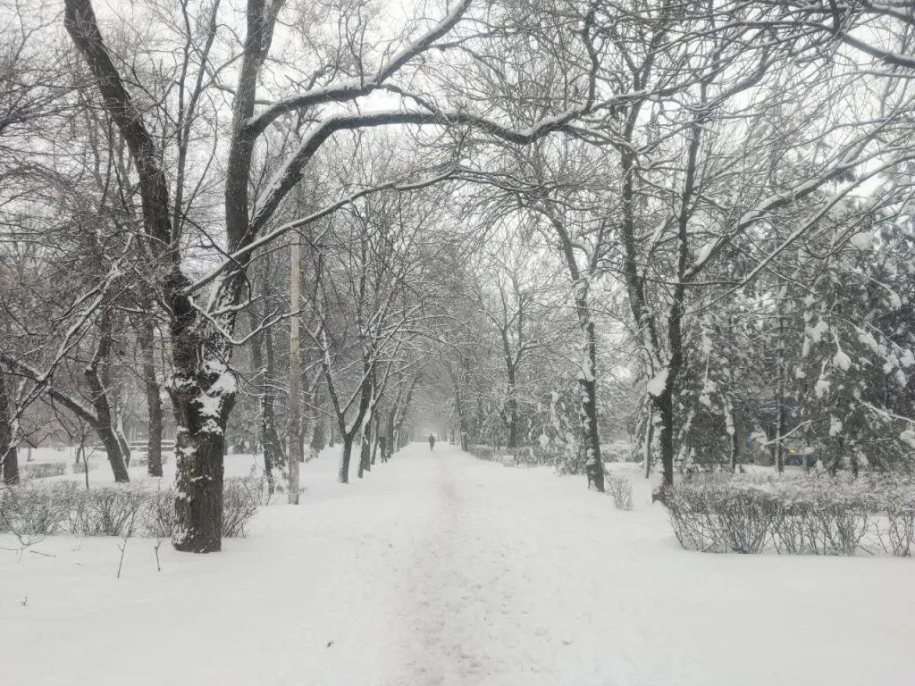 Ростов На Дону Зимой Фото