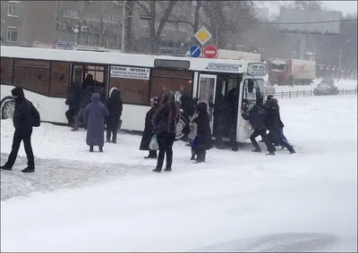 Климатолог рассказал, почему в Ростове такая теплая зима