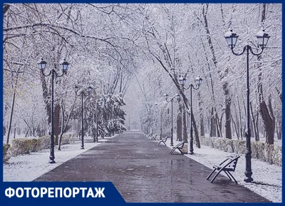 Зимняя сказка в Ростове Великом: AZIMUT приглашает в старинный русский город