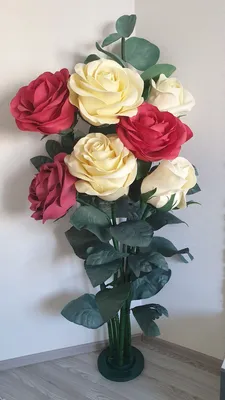 Ростовые розы фото фотографии