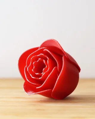 Rose 3D - Petaljet