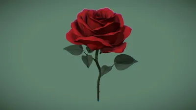 Red rose on white background realistic 3d Vector Image