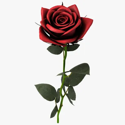 Free STL file Rose 🌹・3D printing idea to download・Cults