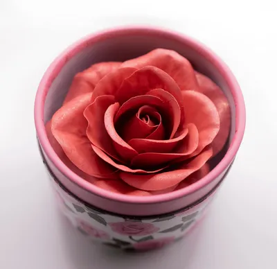 Rose 3D Models download - Free3D