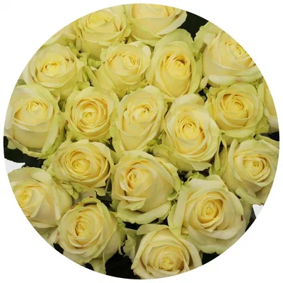 51 розовая роза с белым сердцем за 10 390 руб. | Бесплатная доставка цветов  по Москве
