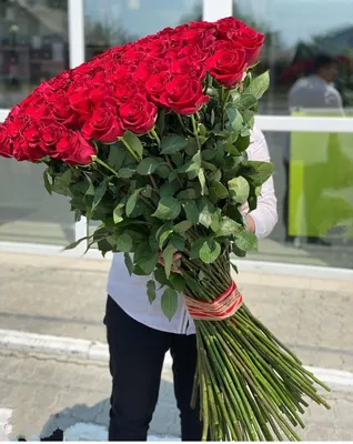 101 красная роза Голландия 90 см купить с доставкой по Краснодару