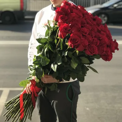 Роза Эксплорер 90 см — flordoranzh