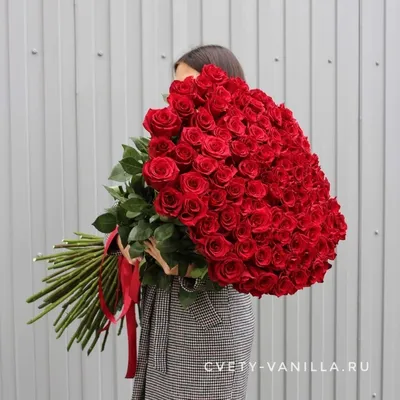 101 высокая роза 90 см \"Explorer\" купить по выгодной цене в Краснодаре с  доставкой