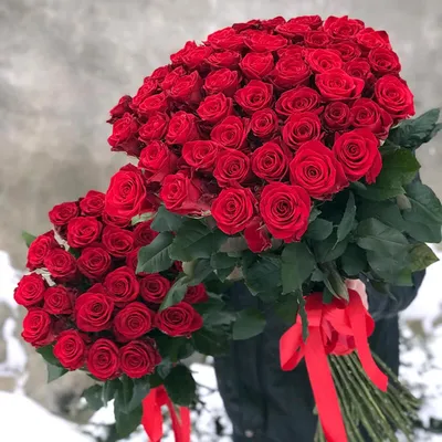 21 красная роза Эквадор с доставкой недорого
