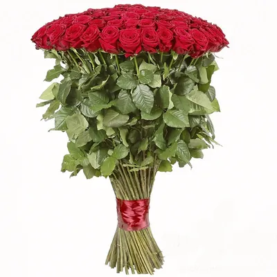 51 розовая роза Карина 90 см - заказать с доставкой по Украине