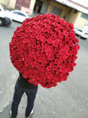 Роза Мэри Ми, 90 см - заказать и купить цветы с доставкой | Donpion