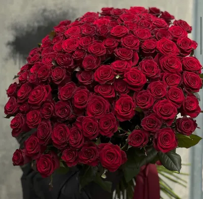 Роза 90 см Эквадор Красная (нет в наличии)