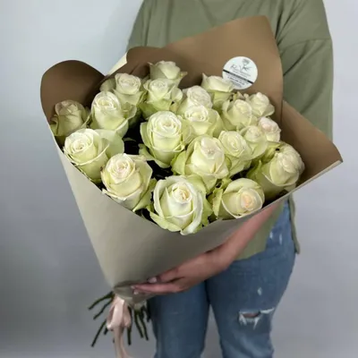 А) 21 Роза \"Альба\" (Эквадор) (Премиум) 70 см и скидки в интернет магазине  цветов Роз Новоросс