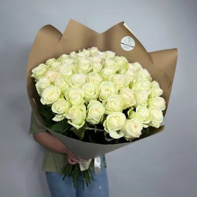А) 51 Роза \"Альба\" (Эквадор) (Премиум) 70 см и скидки в интернет магазине  цветов Роз Новоросс