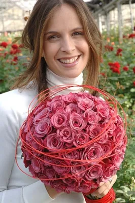 Роза Амалия Купить саженцы в Питомнике Садовый мир в Подмосковье, цены от  650 руб