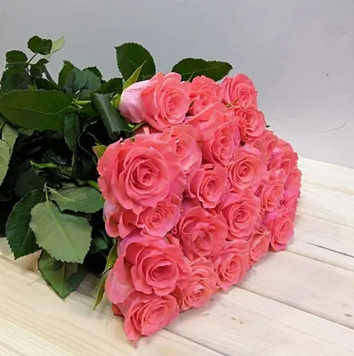 Купить розовые розы Амстердам в СПб ✿ Оптовая цветочная компания СПУТНИК
