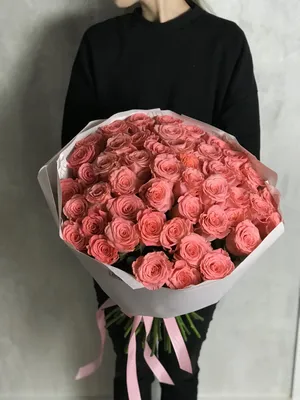 Роза Эквадор AMSTERDAM 40-50см | Купить розы в Челябинске