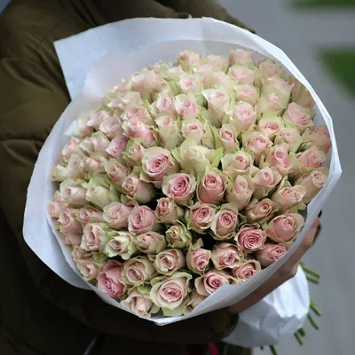 Rose Athena - Product onThursd