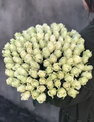 Атэна (Athena): продажа, цена в Киевской области. Рассада и саженцы цветов  от \"EDROSES\" - 1326095422