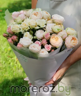 Розовое безумие🎀 Состав: роза одноголовая 25шт, роза кустовая 10шт, лента  атлас Цена 3550р Цены актуальны на момент публикации. При… | Instagram