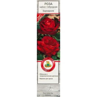 Баркароле (чайно-гибридная), роза Тантау, Германия купить в Беларуси по  цене 59 руб.