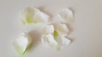 Принцесса Лебедь: 41 белая роза в шляпной коробке по цене 8435 ₽ - купить в  RoseMarkt с доставкой по Санкт-Петербургу