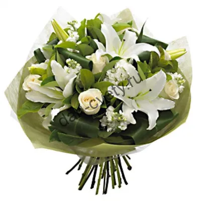 Белый лебедь - Доставкой цветов в Москве! 101324 товаров! Цены от 487 руб.  Цветы Тут