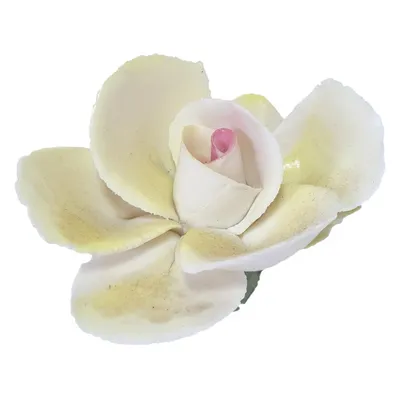 Ваза FLORA 'Белая роза' (дымка) d-8см 11,5х26 см купить в Ижевске —  Интернет-магазин декора и интерьера Nice Room 4852237