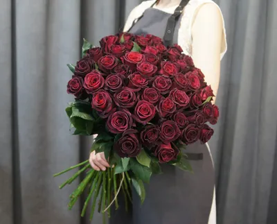 Роза Блэк Баккара Rose Black Baccara