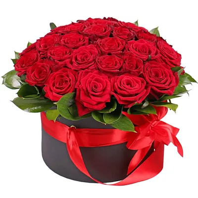 Клубни Розы Цветояр купить по выгодной цене в интернет-магазине OZON  (1245115382)