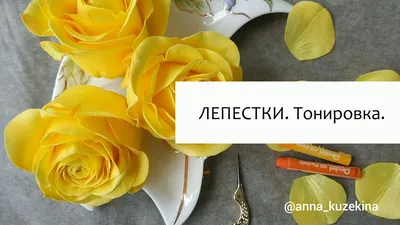 Фловеред.РФ - Добавить лета этой осени - легко! Розы Брайтон всего 8️⃣0️⃣  рублей за штуку😍 ☎229-47-43, 89871395805 📲WA 89378497244  #доставкацветовуфа #фловеред #фловередрф #желтыерозывуфе #букетрозвуфе  https://flovered.ru/?utm_source ...