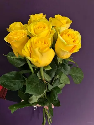 Солнечная роза «Брайтон» цена 1 500 грн купить букет с доставкой по Львову  - Kvitna - Роза Желтый