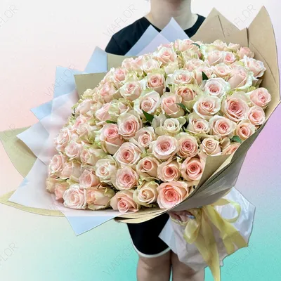 Плетистая роза Starlet-Rose Eva (Старлет Розе-Ева): продажа, цена в  Черкасской области. Рассада и саженцы цветов от \"Цветущий сад\" - 1533076091