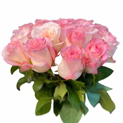 21 роза Булевард (Boulevard) 50 см | купить недорого | доставка по Москве и  области
