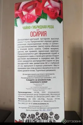 Роза чайно-гибридная Осирия (в тубе) (0) — купить в интернет-магазине по  низкой цене на Яндекс Маркете
