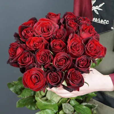Роза сорта Блэк Мэджик (Black Magic) (чайно-гибридная) - купить в Челябинске