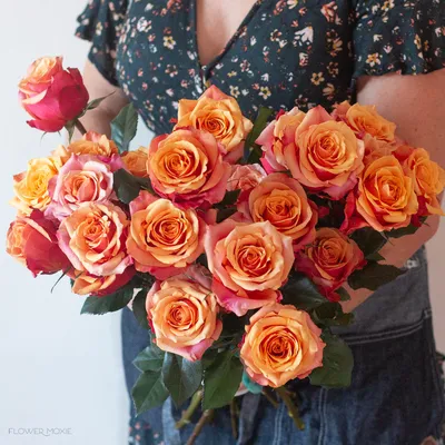 Rosa Cherry Brandy Ecuador - Fincas de rosas