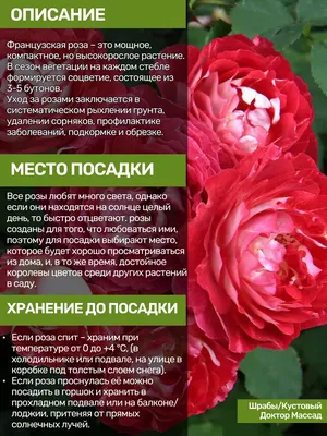 Грунт плодородный для роз Четыре сезона Долина роз 20 л - купить в Москве,  цены на Мегамаркет