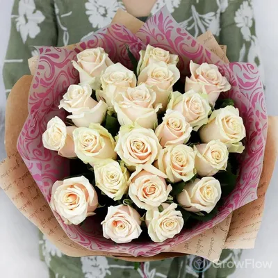 Парковая роза Делия с ярко выраженным ароматом! - YouTube