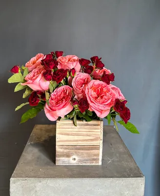 Rose Archives - Florere