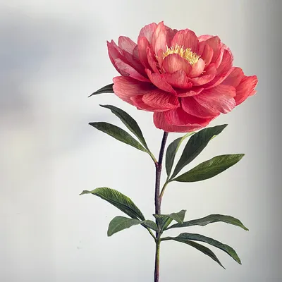 Peony Julia Rose — BOUQ Paper Flowers