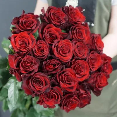 ✓ 101 Элитная роза Explorer (Эквадор) ◈ Купить он-лайн в интернет-магазине  цветов Цветариус ◈ Цена - 29 290 руб. ◈ (Артикул - )