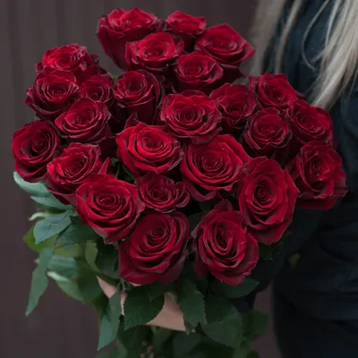 Красные розы «Эксплорер» – купить букет с доставкой по Тамбову в салоне  цветов «Оранж»