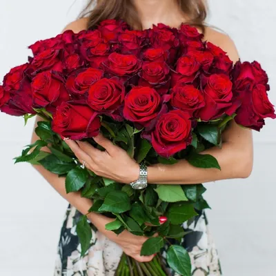 Красные розы Explorer, Эквадор от Интер-Флора | Доставка и заказ цветов в  Железногорске Курской области