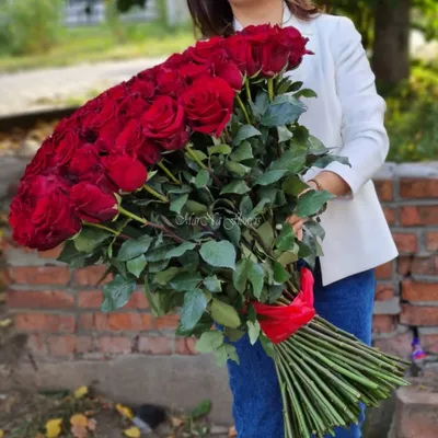 111 роз сорта Эксплорер в корзине . Цена: 63100 руб в интернет-магазине  Centre-flower.ru